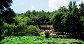 長(zhǎng)沙出發(fā)到花明樓、韶山、張家界國(guó)家森林公園、天門仙山國(guó)家森林公園四日游