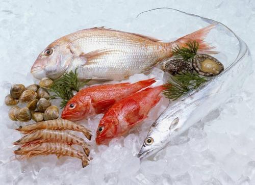 印尼大虾运输到深圳进口报关|冻虾水产品进口报关即时篮球比分